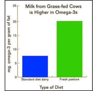 Choose Healthy Grass Fed Meat and Dairy Products Image